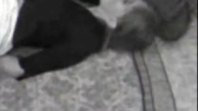 Porno lésbico en blanco y negro xexo x dinero