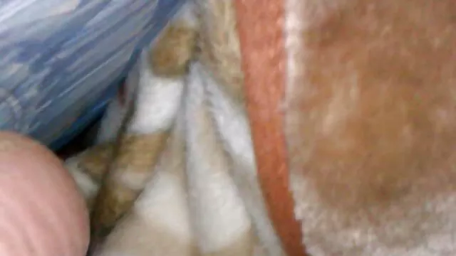 PropertySex - Pequeña adolescente rubia seco por dinero se folla a su compañera de cuarto
